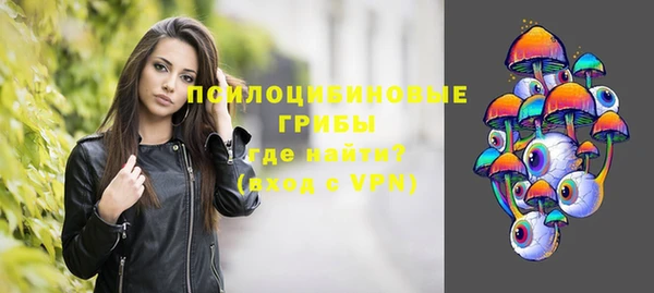 соль ск Зеленодольск