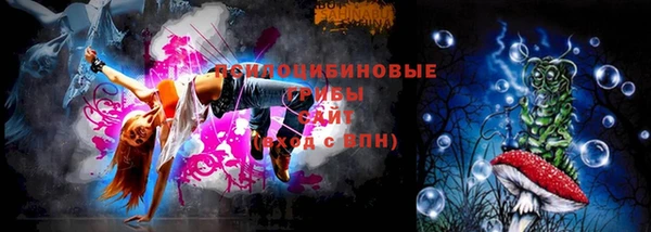 соль ск Зеленодольск