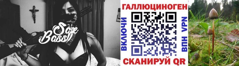 Купить где  Звенигово  Галлюциногенные грибы Psilocybe 